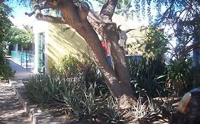 Casabuena B&B